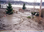 Click to see full size picture